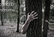 Yabancı El Sendromu