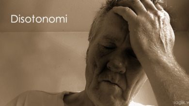 Disotonomi