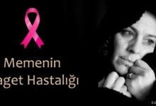 Memenin Paget Hastalığı