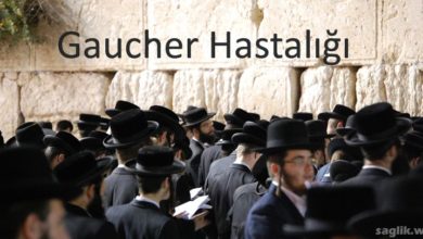 Gaucher Hastalığı