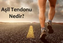 Aşil tendonu nedir?