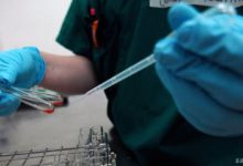 İmmünoglobülin Nedir