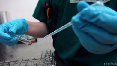 İmmünoglobülin Nedir