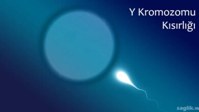 Y Kromozomu Kısırlığı Nedir?