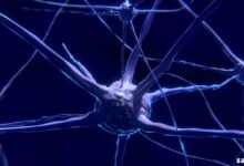 Aromatik L-amino Asit Dekarboksilaz Eksikliği Nedir?