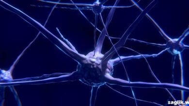 Aromatik L-amino Asit Dekarboksilaz Eksikliği Nedir?