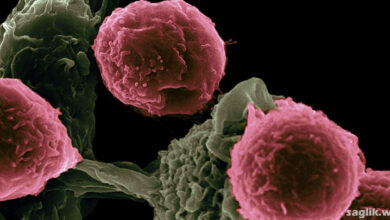 Kanser Nedir? Nasıl Gelişir?